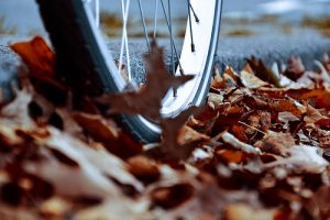 wheel autumn